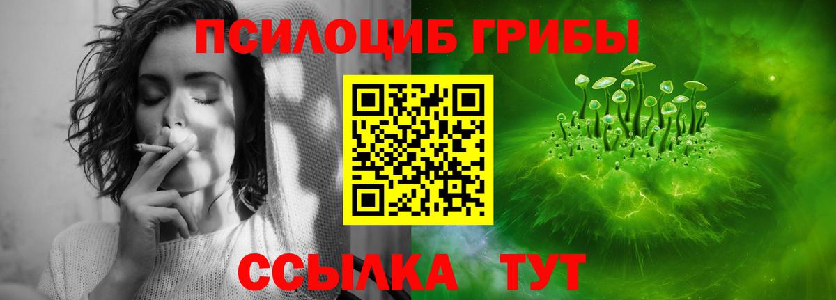 где продают наркотики  Псилоцибиновые грибы GOLDEN TEACHER  Вход с VPN  Павлово 